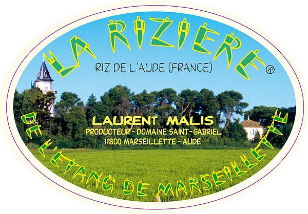 La rizière de l'étang de marseillet - Laurent Malis - Producteur de riz